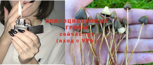 не бодяженный Верея