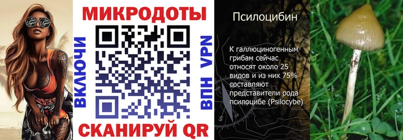Псилоцибиновые грибы мухоморы  что такое   Новошахтинск 
